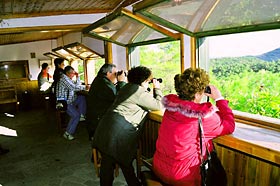 ΔΑΣΟΣ ΔΑΔΙΑΣ - ΤΟ ΠΑΡΑΤΗΡΗΤΗΡΙΟ - - ΚΑΝΤΕ ΚΛΙΚ ΓΙΑ ΜΕΓΕΘΥΝΣΗ