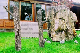 ΔΑΣΟΣ ΔΑΔΙΑΣ - - ΚΑΝΤΕ ΚΛΙΚ ΓΙΑ ΜΕΓΕΘΥΝΣΗ