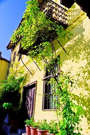 ΣΟΥΦΛΙ - ΚΑΝΤΕ ΚΛΙΚ ΓΙΑ ΜΕΓΕΘΥΝΣΗ