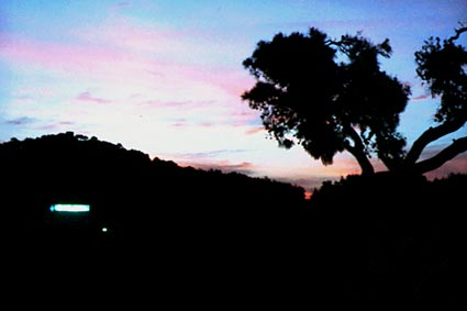 KAVOURI - PHOTO BY STAVROS THEODOSIS