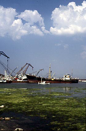 SALAMINA - PHOTO BY DIMITRIS ASITHIANAKIS