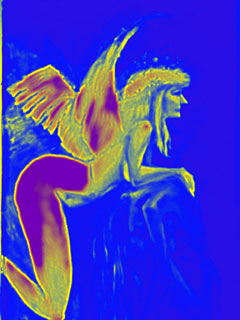 click to open in a new window