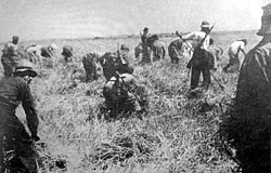 ������ ��������� - � ����� ��� ������� ���� ��������� �����