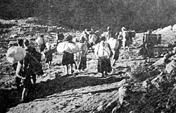 ������ ��������� - �������� ��������� ������ ��� ���� ��������